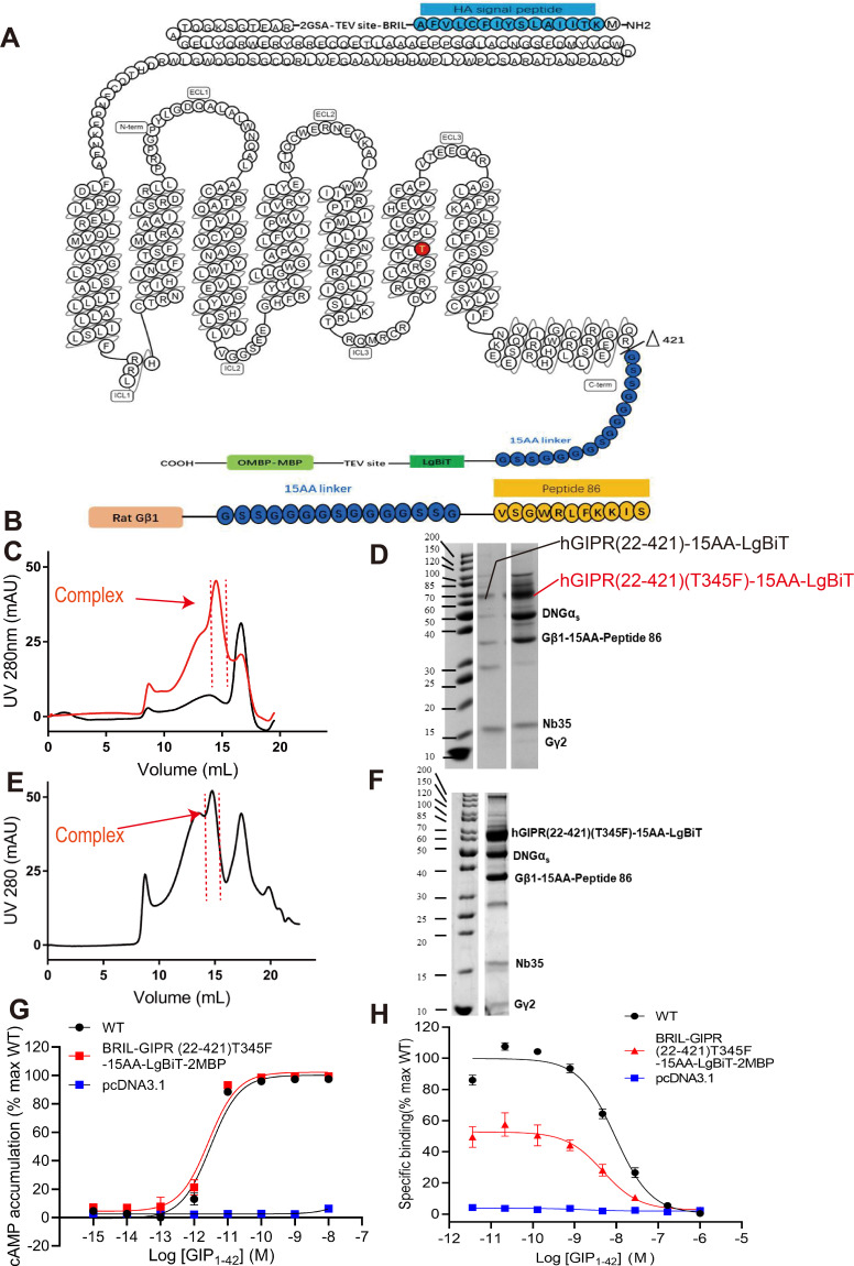 Figure 1—figure supplement 1.