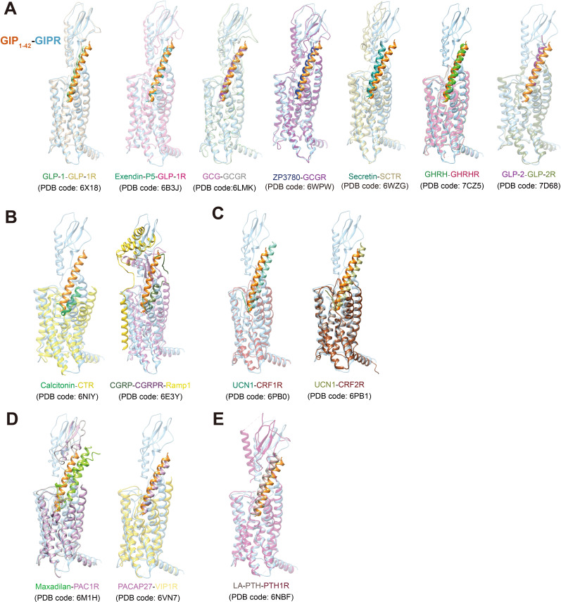 Figure 4—figure supplement 3.