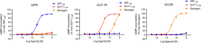 Figure 4—figure supplement 4.