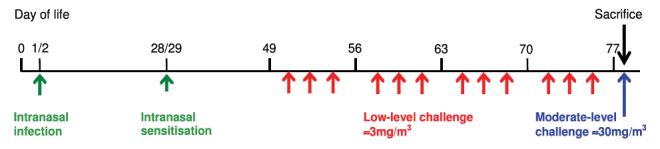 Fig. 5.