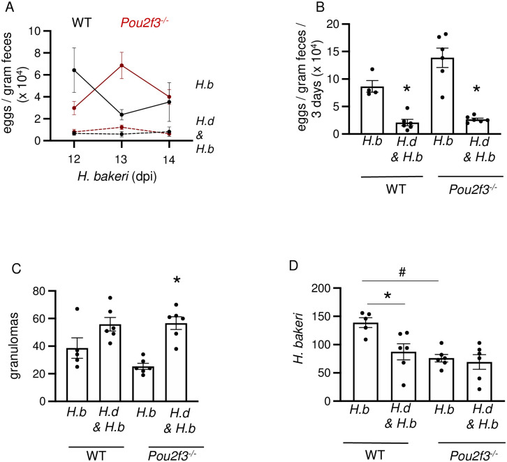 Fig 10