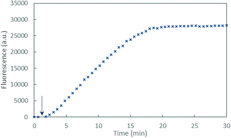 Fig. 6