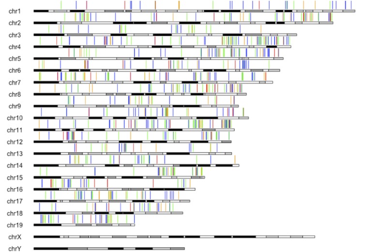 Figure 2—figure supplement 2.