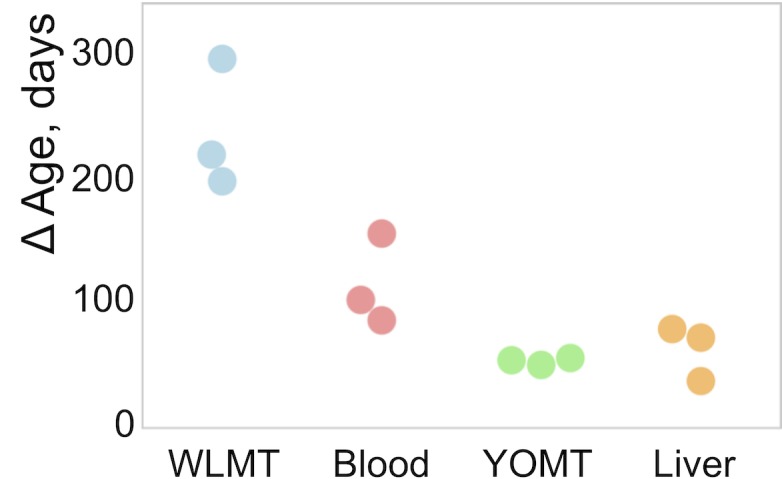 Figure 3—figure supplement 1.