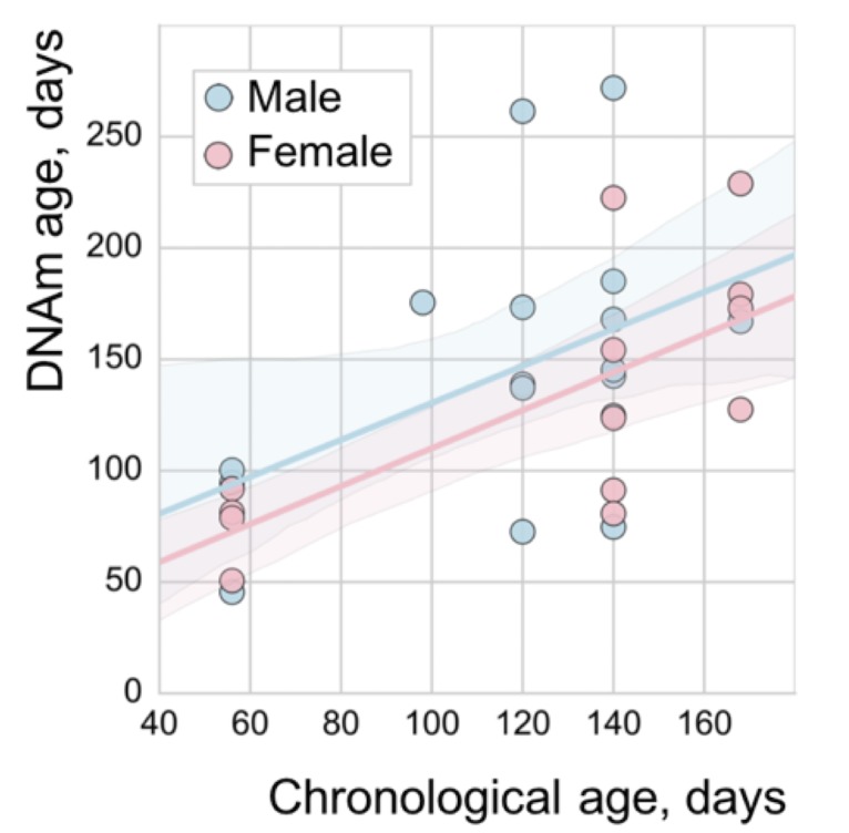 Figure 1—figure supplement 3.