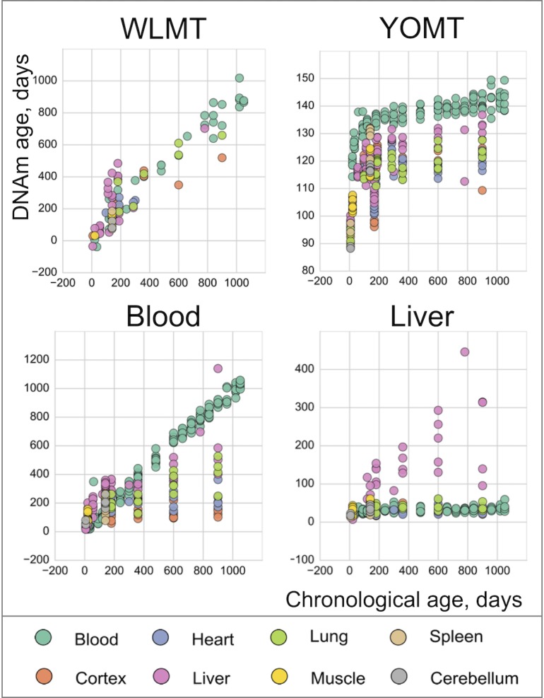 Figure 3—figure supplement 2.