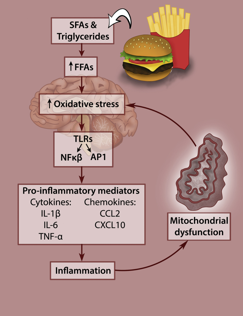 Figure 2