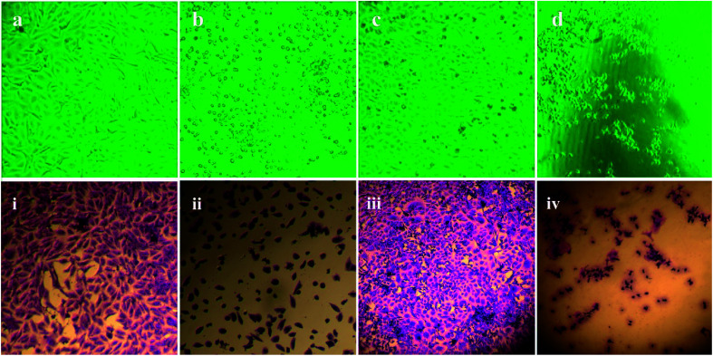 Fig. 9