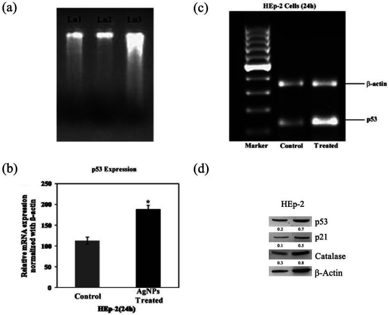 Fig. 11