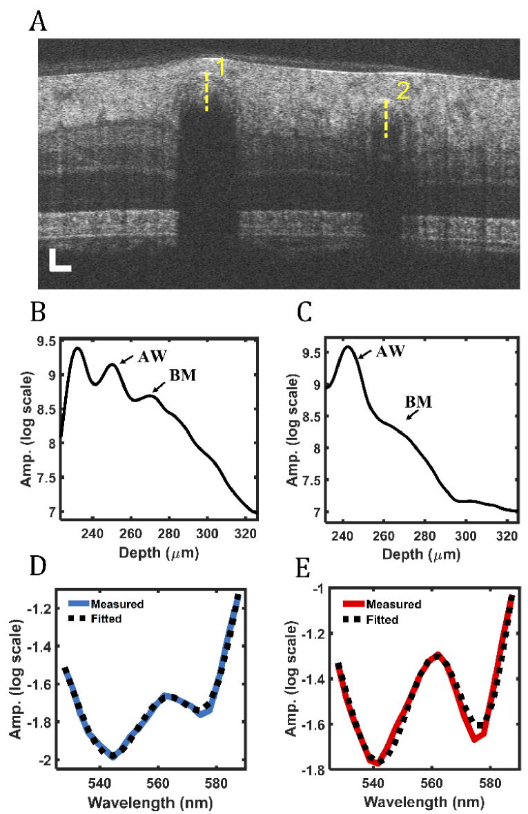 Fig. 8.