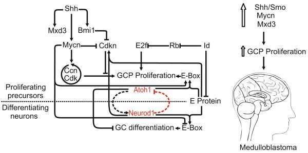 Fig. 14