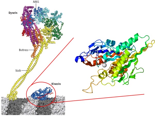 Fig. 2