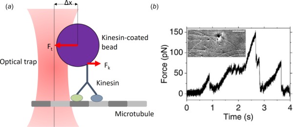 Fig. 3