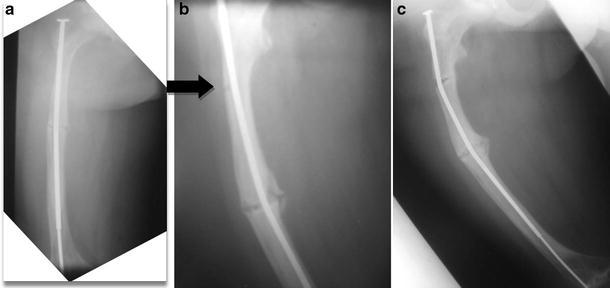 Fig. 2a–c