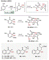 Scheme 12