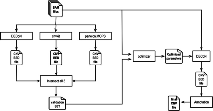 Fig. 1