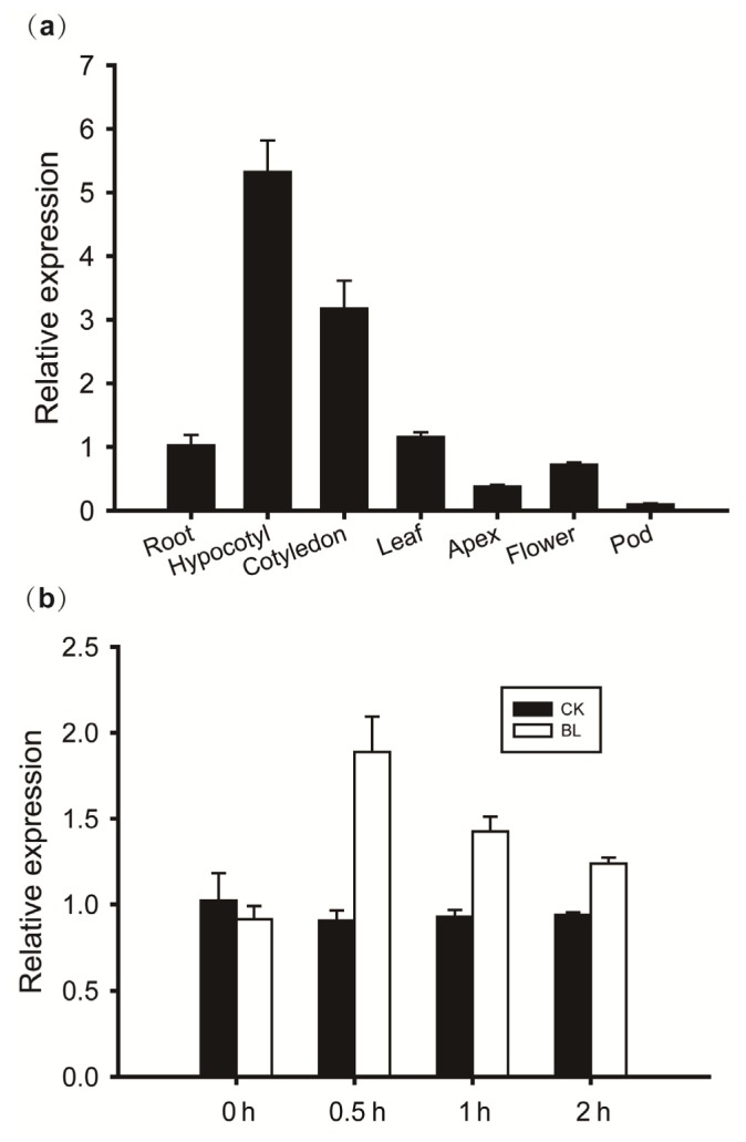 Figure 7.