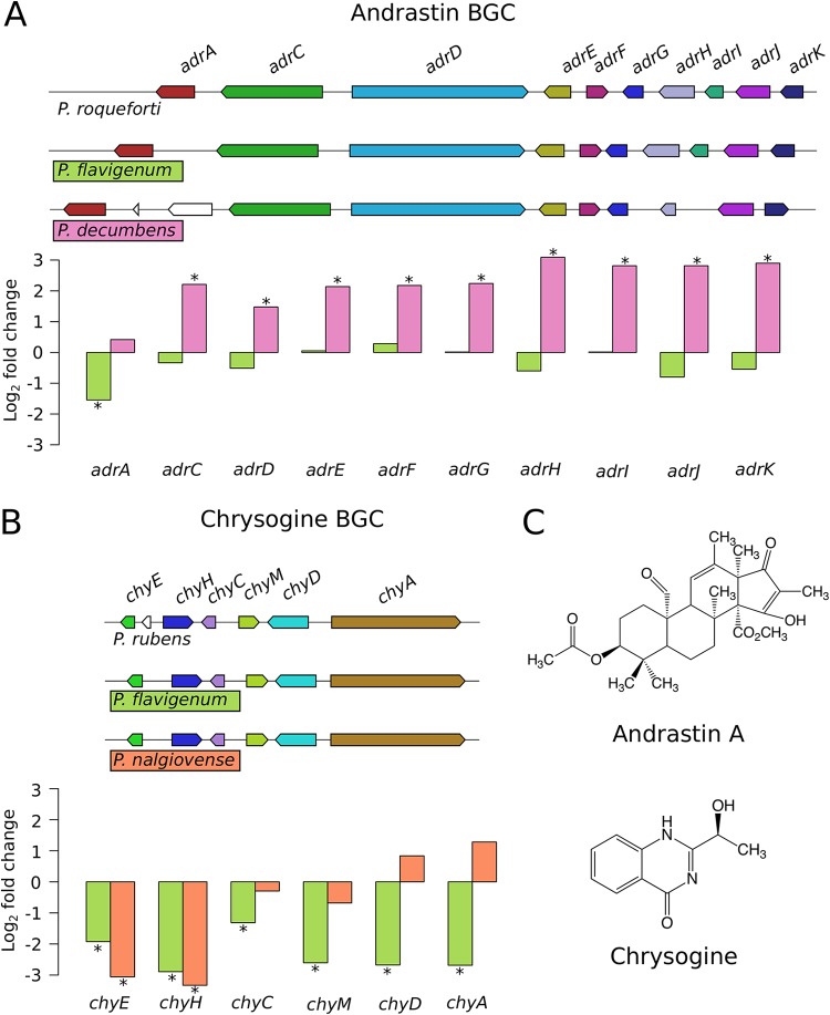 FIG 3