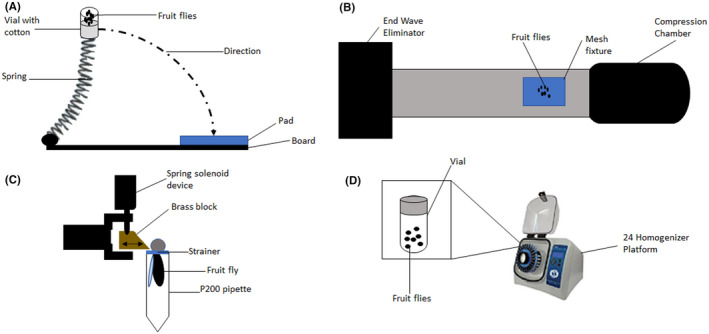 FIGURE 3