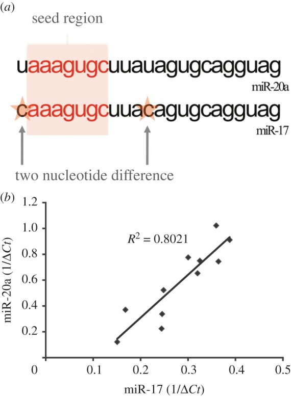 Figure 1.