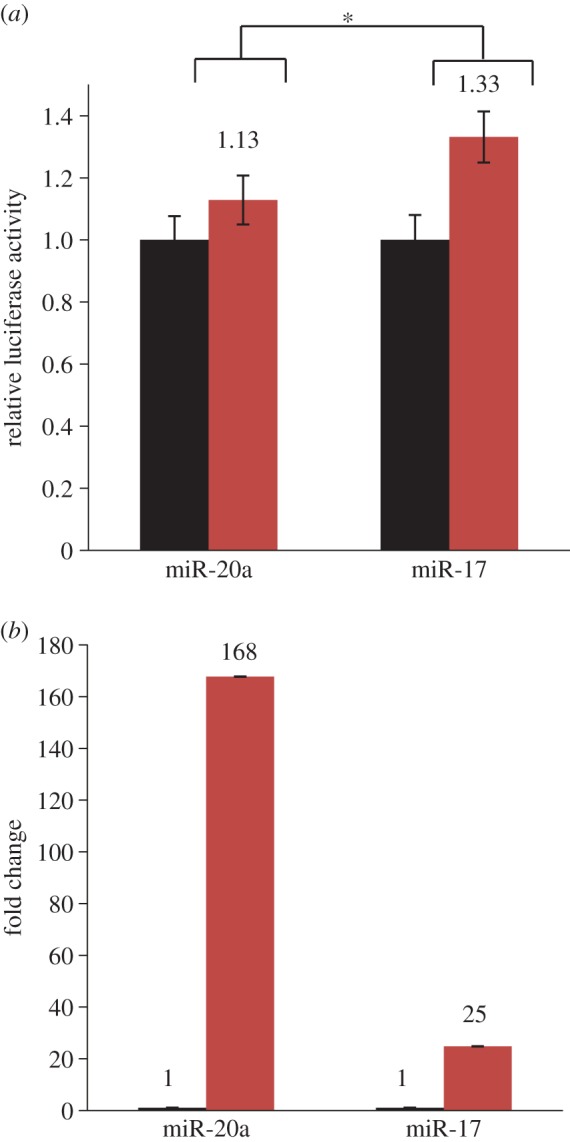 Figure 2.