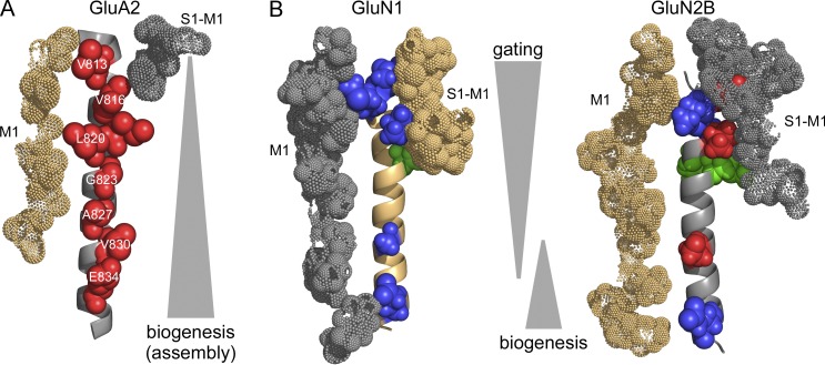 Figure 9.