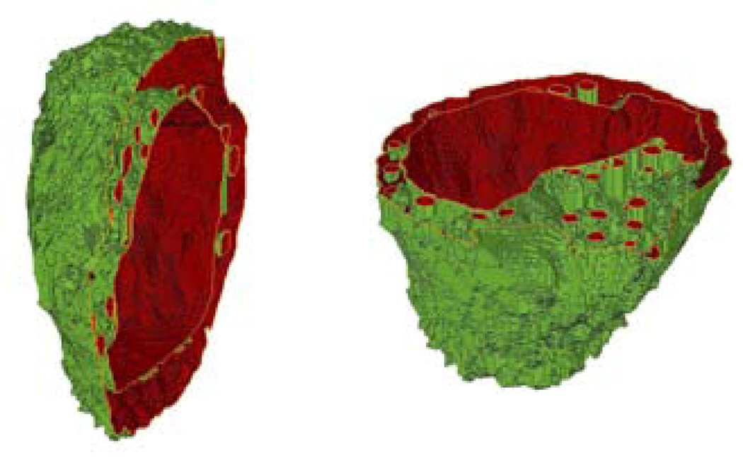 Fig. 7