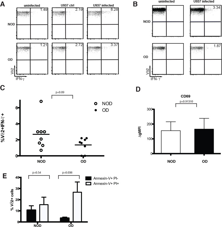 Fig 4