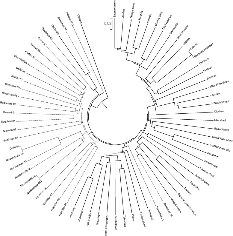 Fig. 2