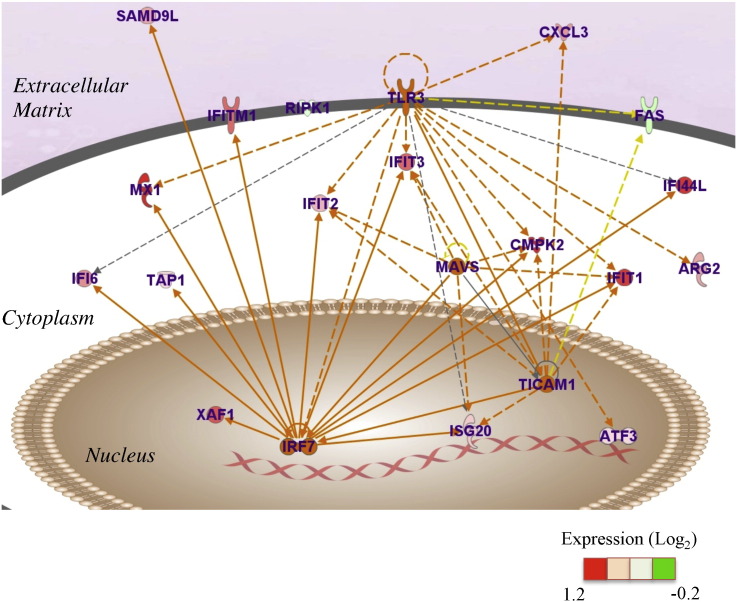 Fig. 3