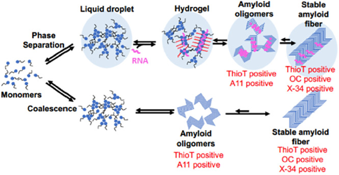 FIGURE 1: