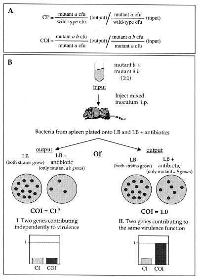 FIG. 1