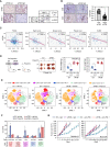 Figure 6. The MITF–eIF3B axis promotes immune evasion. A, Representative IHC and quantification of eIF3B and MHC-I expression in prostate cancer tissue samples. The eIF3B and MHC-I staining intensity was scored as low (− or +) and high (++) in three different areas of each tumor section. χ2 test = Chi-square test. B, Representative IHC and quantification of the CD8/CD3 ratio in eIF3B low and high expressing prostate tumors. CD8- and CD3-positive cells were counted in three different areas of each tumor section. C, Pearson correlation analysis between eIF3B mRNA abundance and the expression of a T-cell effector signature (CD8A, GZMA, and GZMB) in tumor specimens from the indicated prostate cancer datasets (https://www.cancer.gov/tcga, GSE21032, GSE84043, and GSE35988, https://github.com/cBioPortal/datahub/tree/master/public/prad_su2c_2019). TCGA, The Cancer Genome Atlas. D, Representative image and quantification of tumor weights of empty vector (EV) and eIF3B-overexpressing TRAMP-C2 and MyC-CaP tumors intratumorally injected with vehicle (Veh.; PBS) or Poly(I:C) 2.5 mg/kg, intratumoral. Five male mice were used for each experimental group. E, Cytometry by time of flight (CyTOF) analysis of TRAMP-C2 tumors. PhenoGraph-defined cellular distribution and clustering, as defined by tSNE1 and tSNE2 (t-distributed stochastic neighbor embedding), colored by cellular phenotypes in TRAMP-C2 EV and eIF3B-overexpressing tumors from mice at 2 days after the last intratumoral injection of vehicle (PBS) or Poly(I:C). F, CyTOF analysis of TRAMP-C2 tumors. Data derived from normalized viable single cells analyzed by the PhenoGraph algorithm are shown in the bar graph as means ± SD (n = 3). Statistical significance was determined by one-way ANOVA with Bonferroni correction for multiple tests. CTL, cytotoxic T lymphocyte; MDSC, myeloid-derived suppressor cells; NK, natural killer cells. G, Tumor growth curves of TRAMP-C2 and MyC-CaP subcutaneous tumors generated after injecting 106 eIF3B-overexpressing or EV cells in mice intraperitoneally treated with IgG or anti–PD-1 (250 μg/i.p., alternate days). Ten male mice were used for each experimental group. Data, mean ± SD of at least 3 experiments. *, P < 0.05. Scale bar, 100 μm.