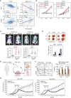Figure 5. The MITF–eIF3B axis confers resistance to ADT. A, Pearson correlation analysis between MITF or eIF3B mRNA abundance with the expression of a 31-androgen receptor signature in tumor specimens from the indicated prostate cancer datasets (https://www.cancer.gov/tcga and GSE21032). TCGA, The Cancer Genome Atlas. B, Cell population doubling of LNCaP and VCaP cells transduced with shControl, shMITF, empty (EV), or eIF3B vector cultured in CS FBS and phenol red–free media. C, Representative imaging and quantification of tumor photon flux signals in castrated mice after 6 weeks of subcutaneous injection of 106 LNCaP and VCaP shControl or shMITF luciferase-tagged cells. Ten mice were used for each experimental group. C, control. D, Representative image and quantification of tumor weights in castrated mice subcutaneously injected with 106 LNCaP and VCaP EV or eIF3B vector luciferase-tagged cells. E, Diagram depicts the workflow used to generate patient-derived hormone-sensitive xenograft and organoid models. PC, prostate cancer; PDX, patient-derived xenograft. F, Representative image and cell viability (MTS) quantification of EV or eIF3B-overexpressing prostate cancer organoids cultured in regular media supplemented with FBS 10% or CS and phenol red–free media. G, Tumor growth curves of subcutaneous tumors generated after injecting control (EV) or eIF3B-overexpressing organoids (Org) in intact host mice and after castration. Mice were castrated (arrow) once tumors reached a size of 200 mm3. Ten mice were used for each experimental group. Data, mean ± SD of at least 3 experiments. *, P < 0.05; **, P < 0.0001.