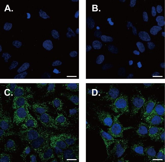 FIG 10