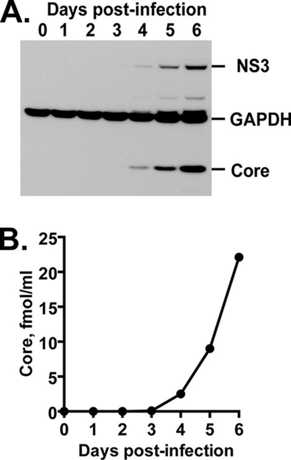 FIG 2