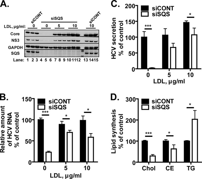 FIG 6