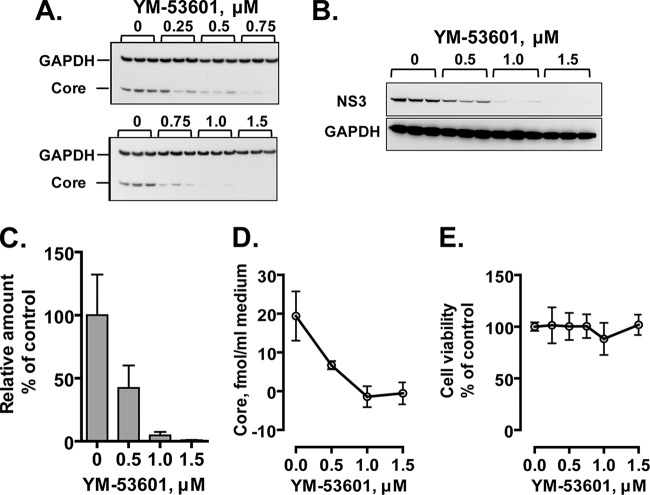 FIG 3