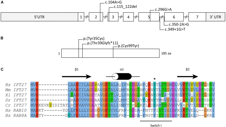 FIGURE 2