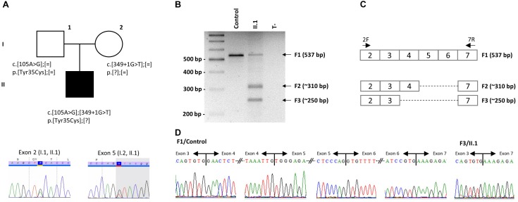 FIGURE 1