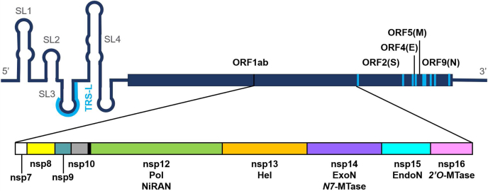 Figure 1