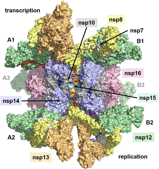 Figure 5