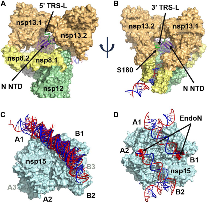 Figure 2