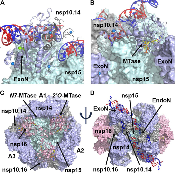 Figure 3