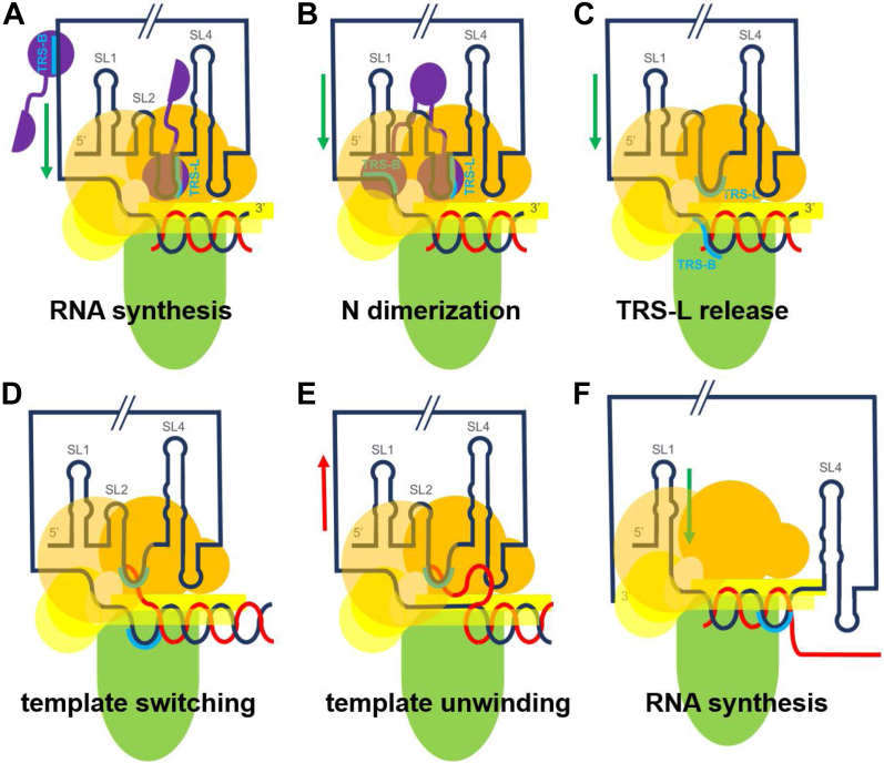 Figure 7