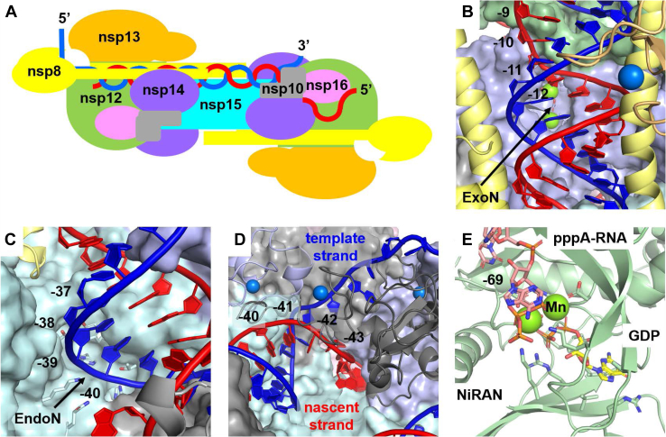 Figure 6