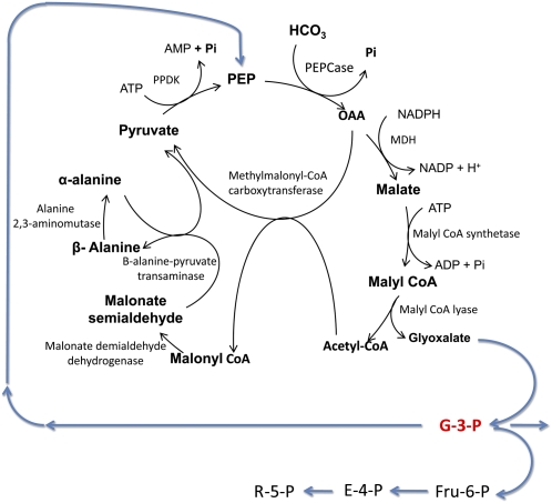 Figure 2.