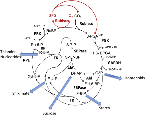 Figure 1.