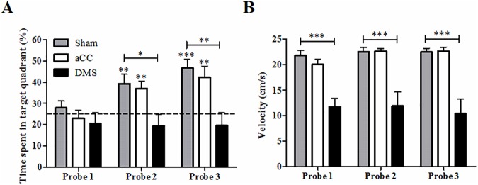 Fig 5