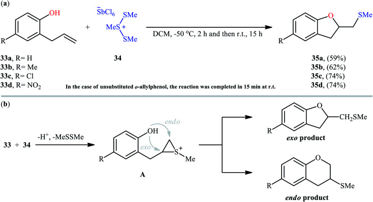 Scheme 12